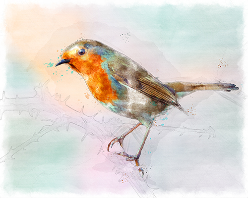 Small bird perched delicately on a thorny branch