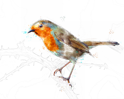 Small bird perched on a thorny branch with natural detail