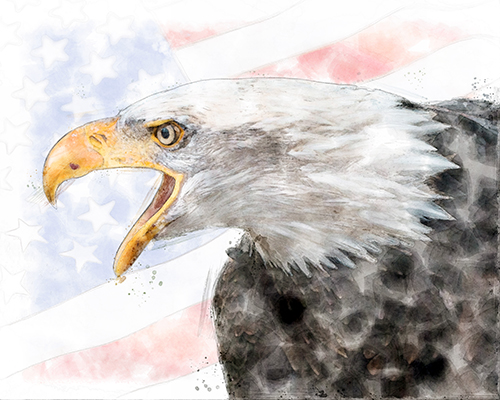 Bald eagle mid-cry with a textured American flag backdrop