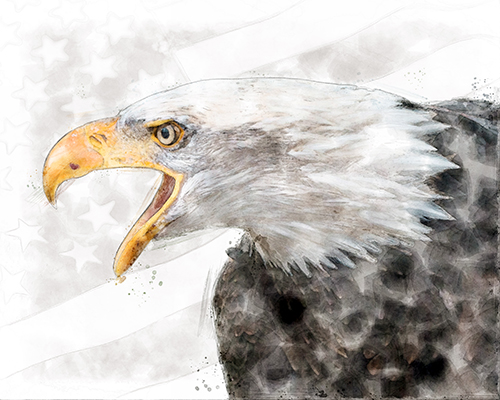 Bald eagle set against a monochrome American flag