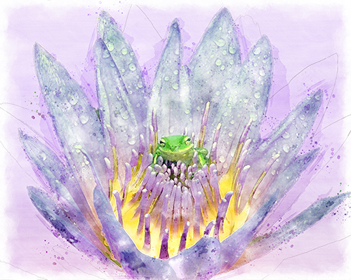 Frog nestled inside a blooming lily