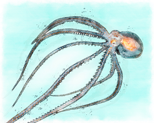 Glass-like octopus rendered in translucent blues and purples