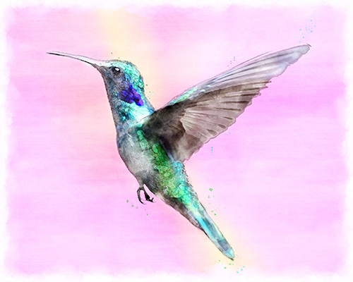 Hummingbird shimmering with iridescent greens