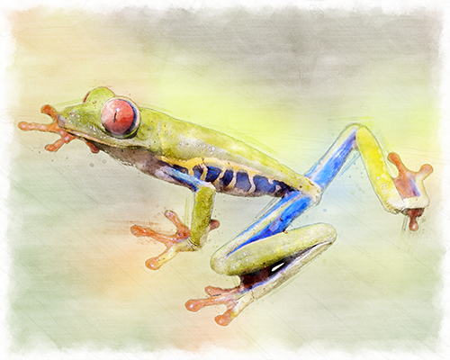 Frog rendered with warm, expressive color washes