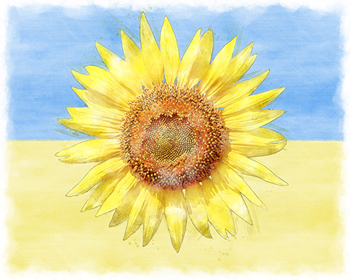 A sunflower tribute to the freedom and resilience of the Ukraine People.
