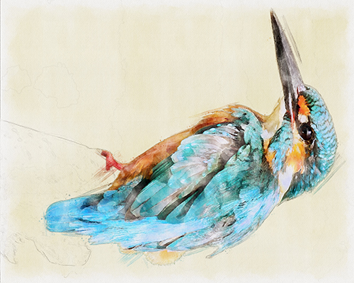 Kingfisher perched with a soft golden wash